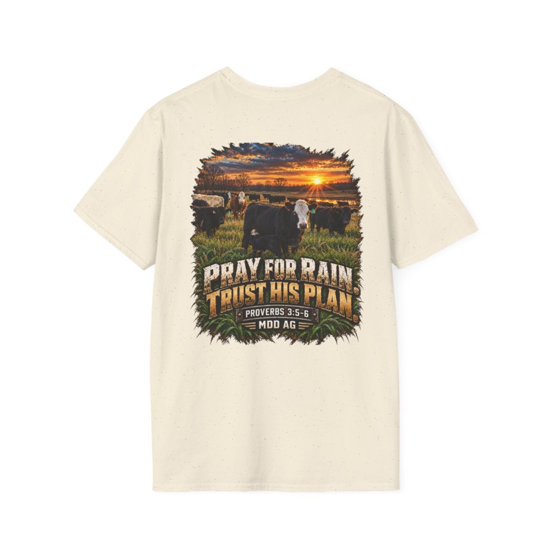 Pray for Rain Trust His Plan T-Shirt — Farm Christian Inspirational Tee